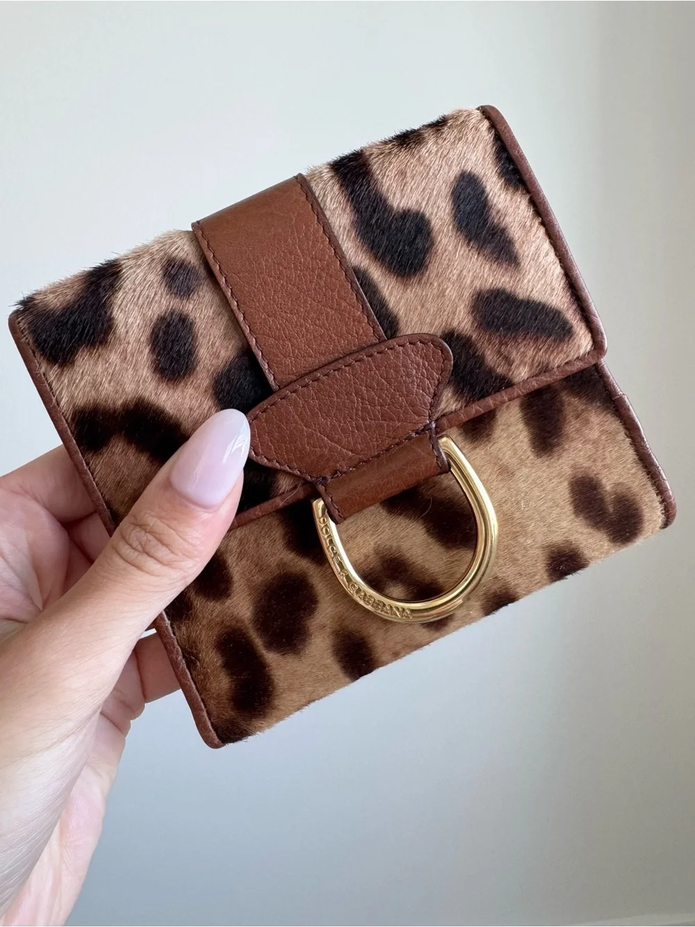Dolce & Gabbana Leopard Calf Hair Leather Wallet